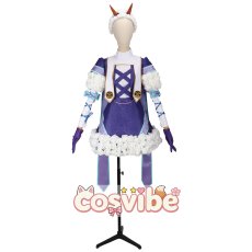 画像1: ナンバーワン戦隊ゴジュウジャー　ブーケ　コスプレ衣装　 コスチューム　 cosplay　イベント仮装 (1)