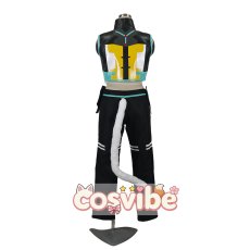 画像4: VOCALOID　鏡音レン　ネコサイバー　コスプレ衣装　 コスチューム　 cosplay　イベント仮装 (4)