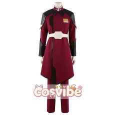 画像1: 機動戦士ガンダムSEED destiny　シン・アスカ　ルナマリア・ホーク　レイ・ザ・バレル　ハイネ・ヴェステンフルス　コスプレ衣装　 コスチューム　 cosplay　イベント仮装 (1)