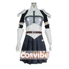 画像1: 劇場版FAIRY TAIL -DRAGON CRY-　エルザ・スカーレット　コスプレ衣装　 コスチューム　 cosplay　イベント仮装 (1)