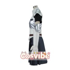 画像2: 劇場版FAIRY TAIL -DRAGON CRY-　エルザ・スカーレット　コスプレ衣装　 コスチューム　 cosplay　イベント仮装 (2)