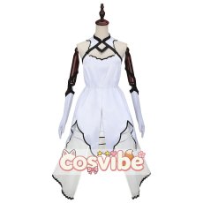 画像2: Fate/Grand Order　FGO　アルクェイド・ブリュンスタッド　Dresscode：氷河をまとう　コスプレ衣装　 コスチューム　 cosplay　イベント仮装 (2)