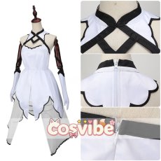 画像3: Fate/Grand Order　FGO　アルクェイド・ブリュンスタッド　Dresscode：氷河をまとう　コスプレ衣装　 コスチューム　 cosplay　イベント仮装 (3)